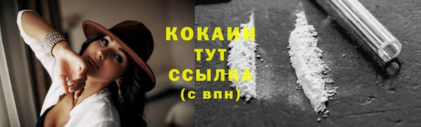 винт Краснослободск