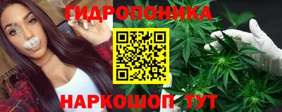 гашиш Кингисепп