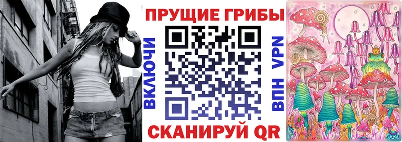 купить   Урус-Мартан  Псилоцибиновые грибы Cubensis 