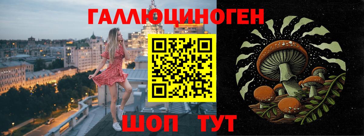 Урус-Мартан  Галлюциногенные грибы Cubensis  Вход с VPN 